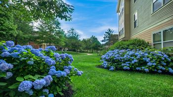 Beautifully manicured grounds and courtyards